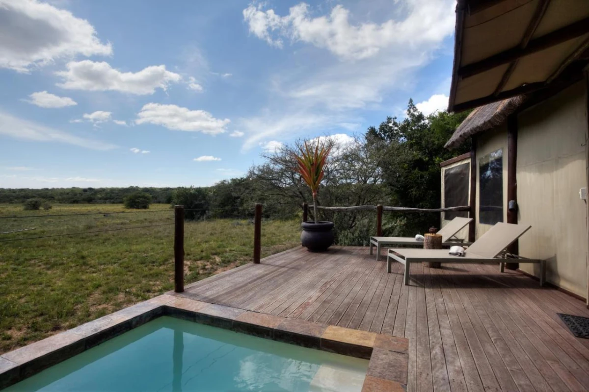 Amakhala Bush Lodge - Hotel Photo 16