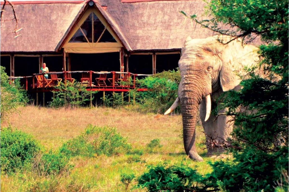 Amakhala Bush Lodge - Hotel Photo 27