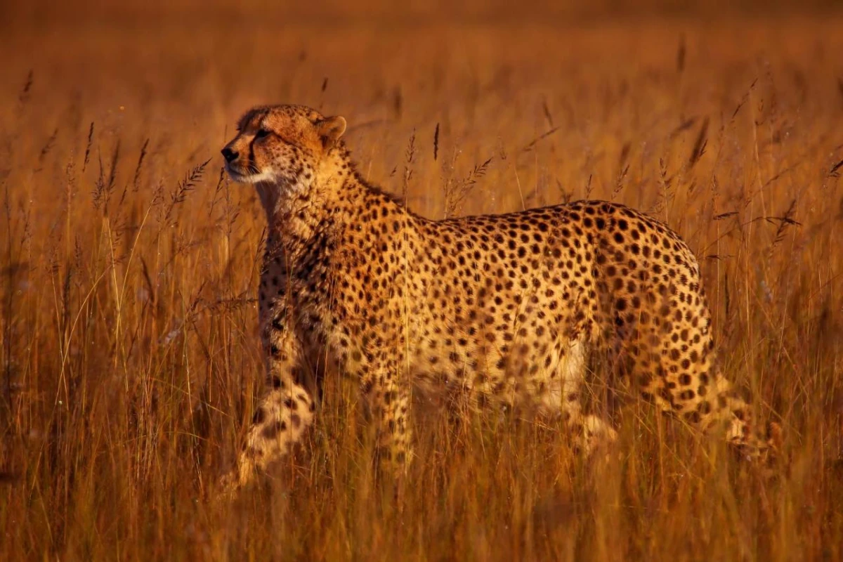 Founders Lodge By Mantis - Hotel Photo 14