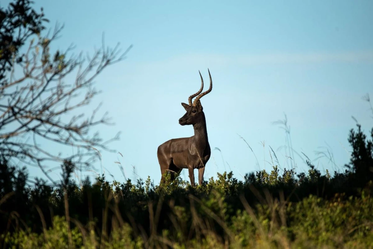 Oceana Beach & Wildlife Reserve - Hotel Photo 14