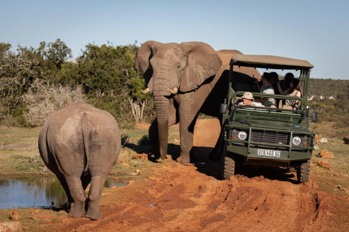 Pumba Private Game Reserve - Hotel Photo 33