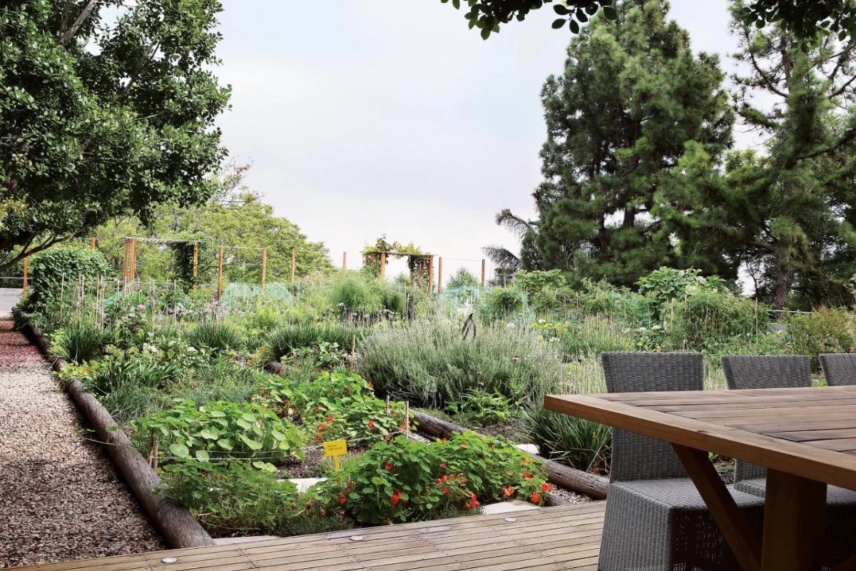 Saxon Hotel Villas & Spa - Hotel Photo 27