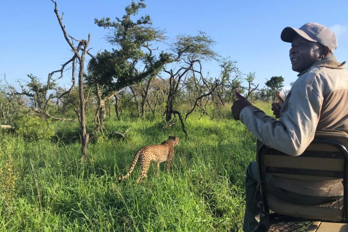 Amakhosi Safari Lodge - Hotel Photo 2
