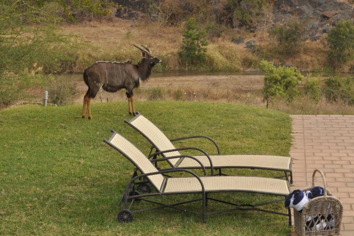 Amakhosi Safari Lodge - Hotel Photo 23