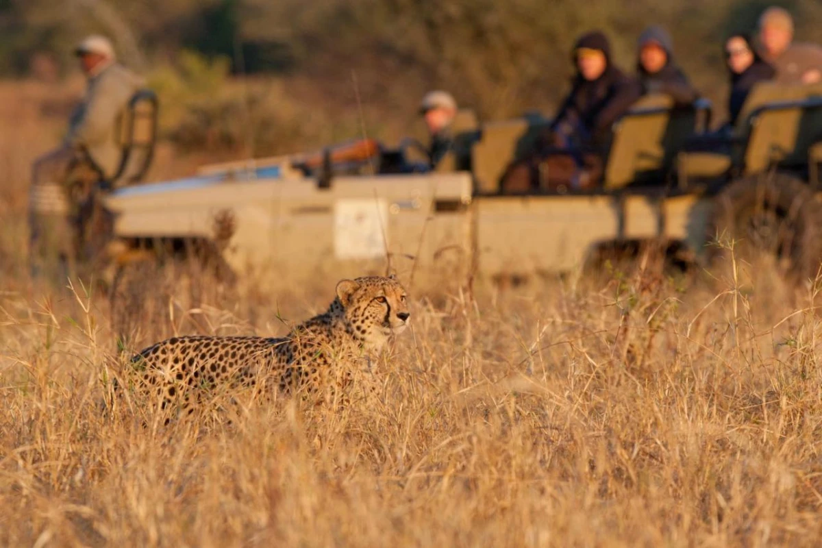 Amakhosi Safari Lodge - Hotel Photo 41