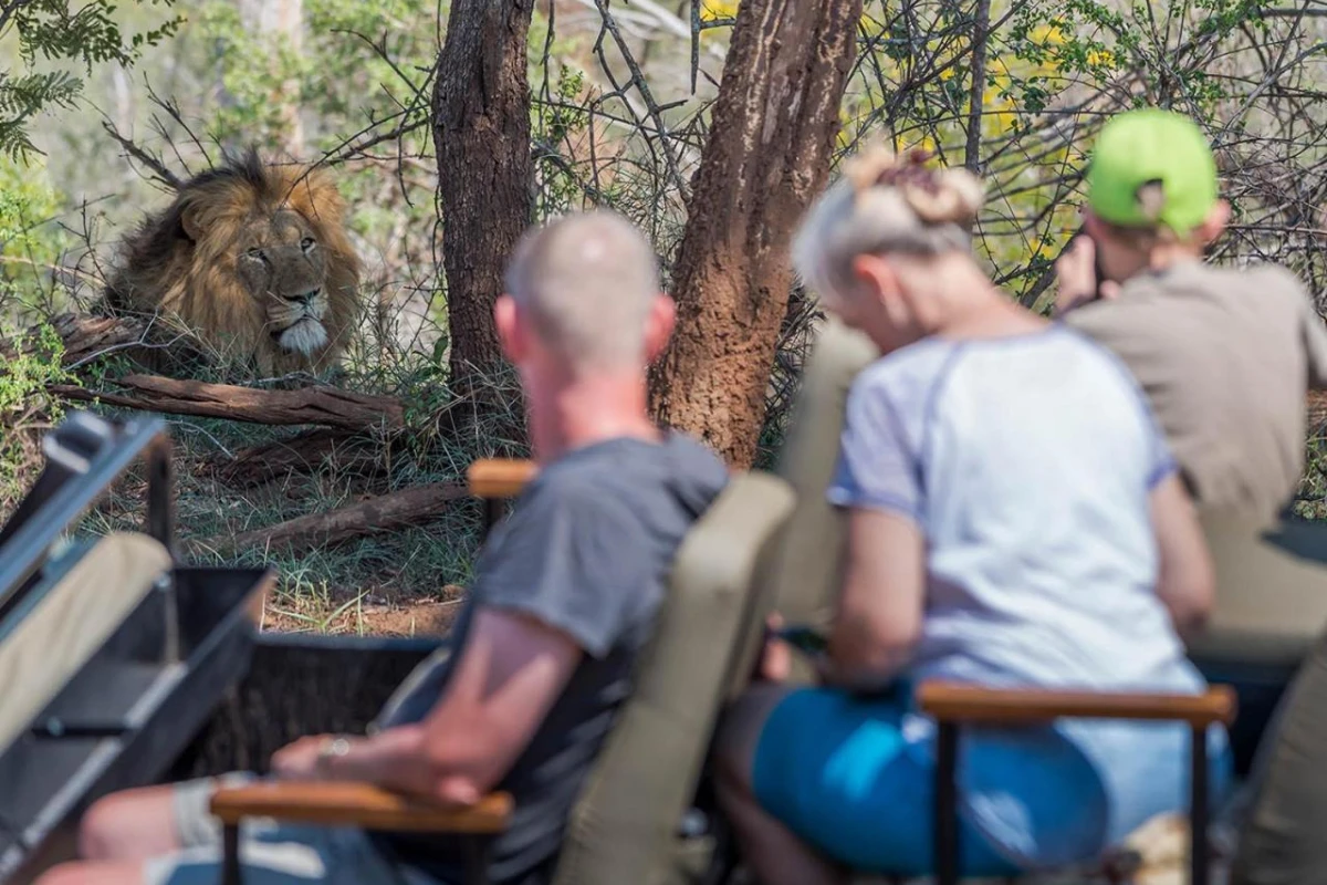 Aha Makalali Private Game Lodge - Hotel Photo 40