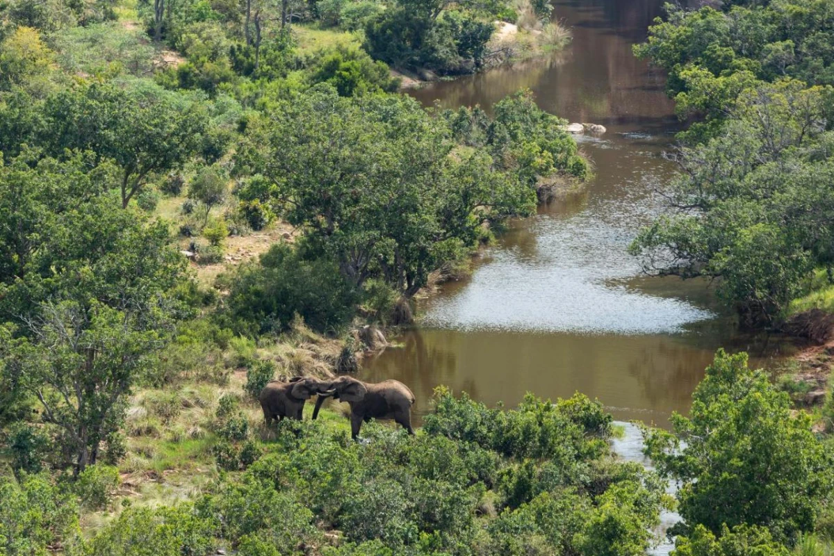 Clifftop Exclusive Safari Hideaway Hotel - Hotel Photo 25