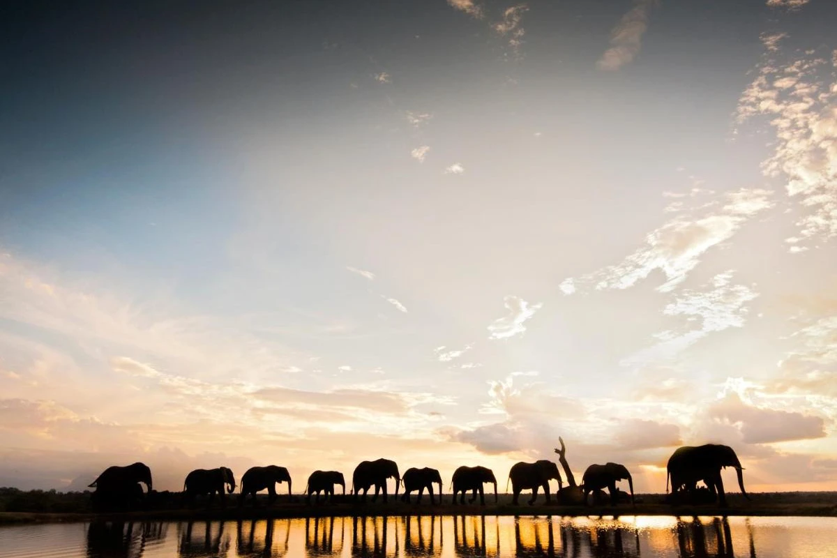 Jabulani Safari - Hotel Photo 24