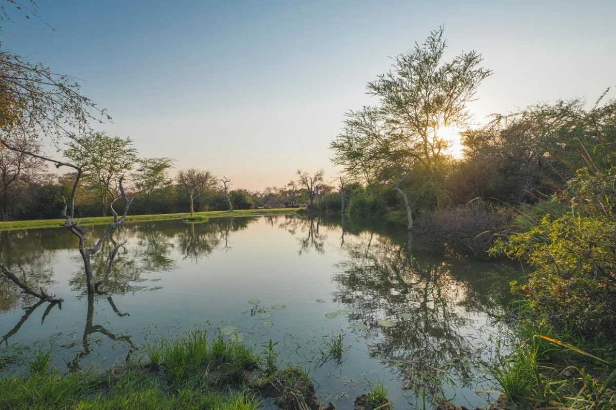 Jabulani Safari - Hotel Photo 25