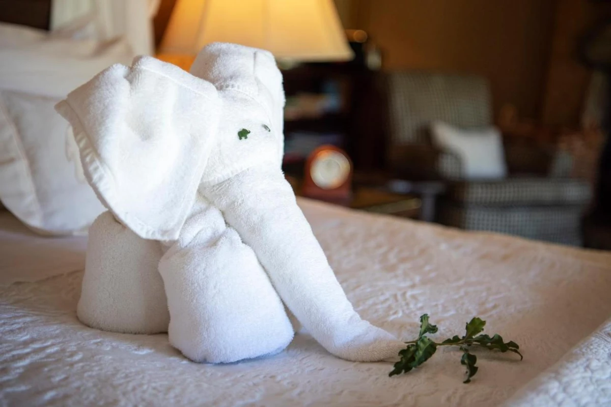 Jabulani Safari - Hotel Photo 31