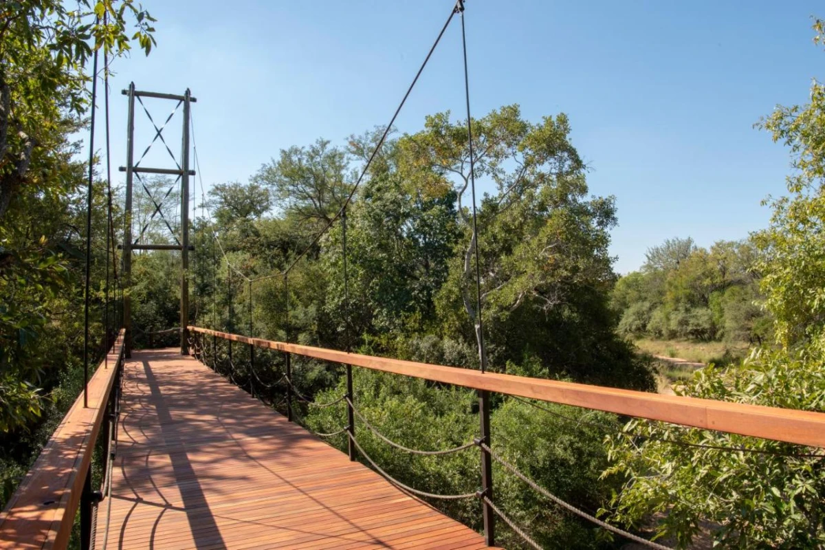 Jabulani Safari - Hotel Photo 40