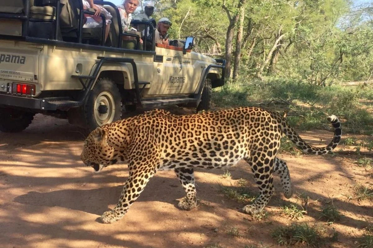 Kapama Buffalo Camp - Hotel Photo 14