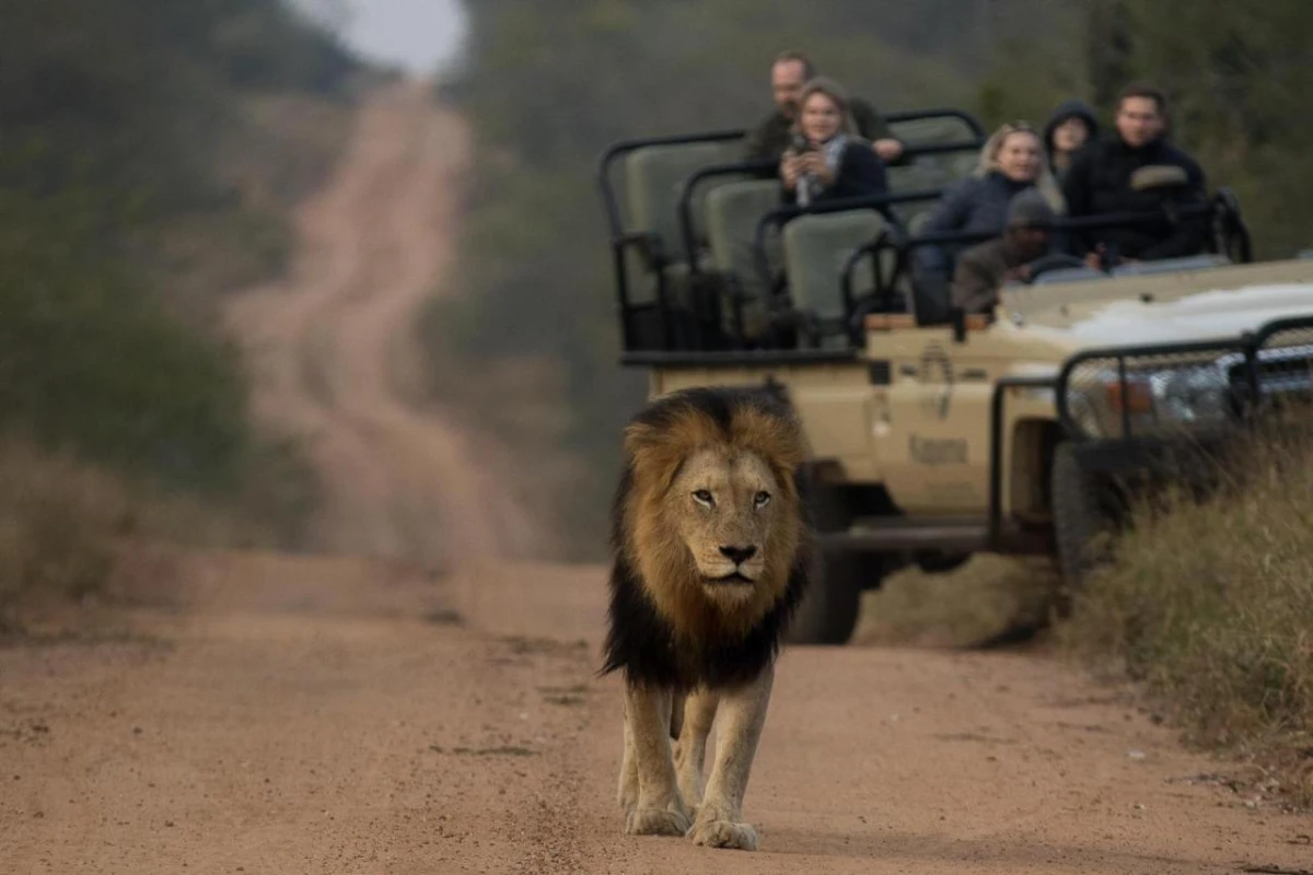 Kapama Buffalo Camp - Hotel Photo 28