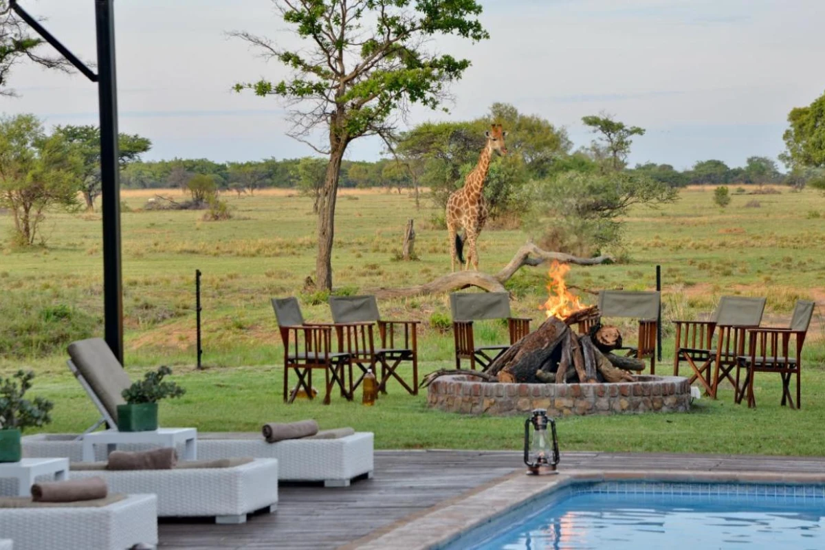 Safari Plains - Hotel Photo 6