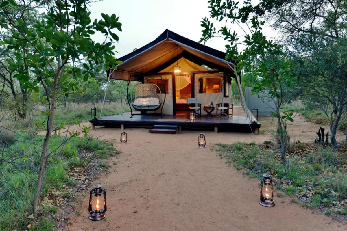 Safari Plains - Hotel Photo 8