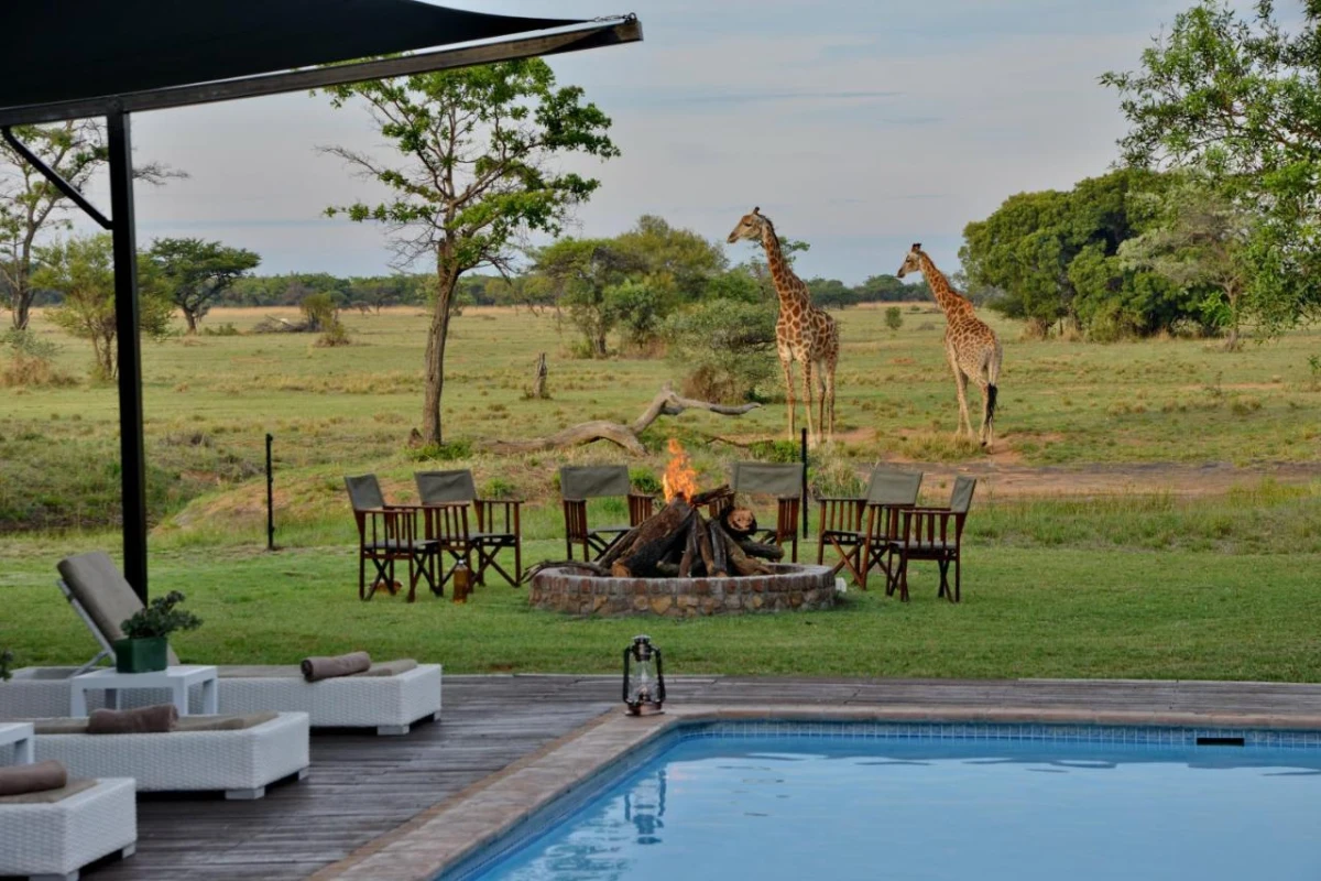 Safari Plains - Hotel Photo 19