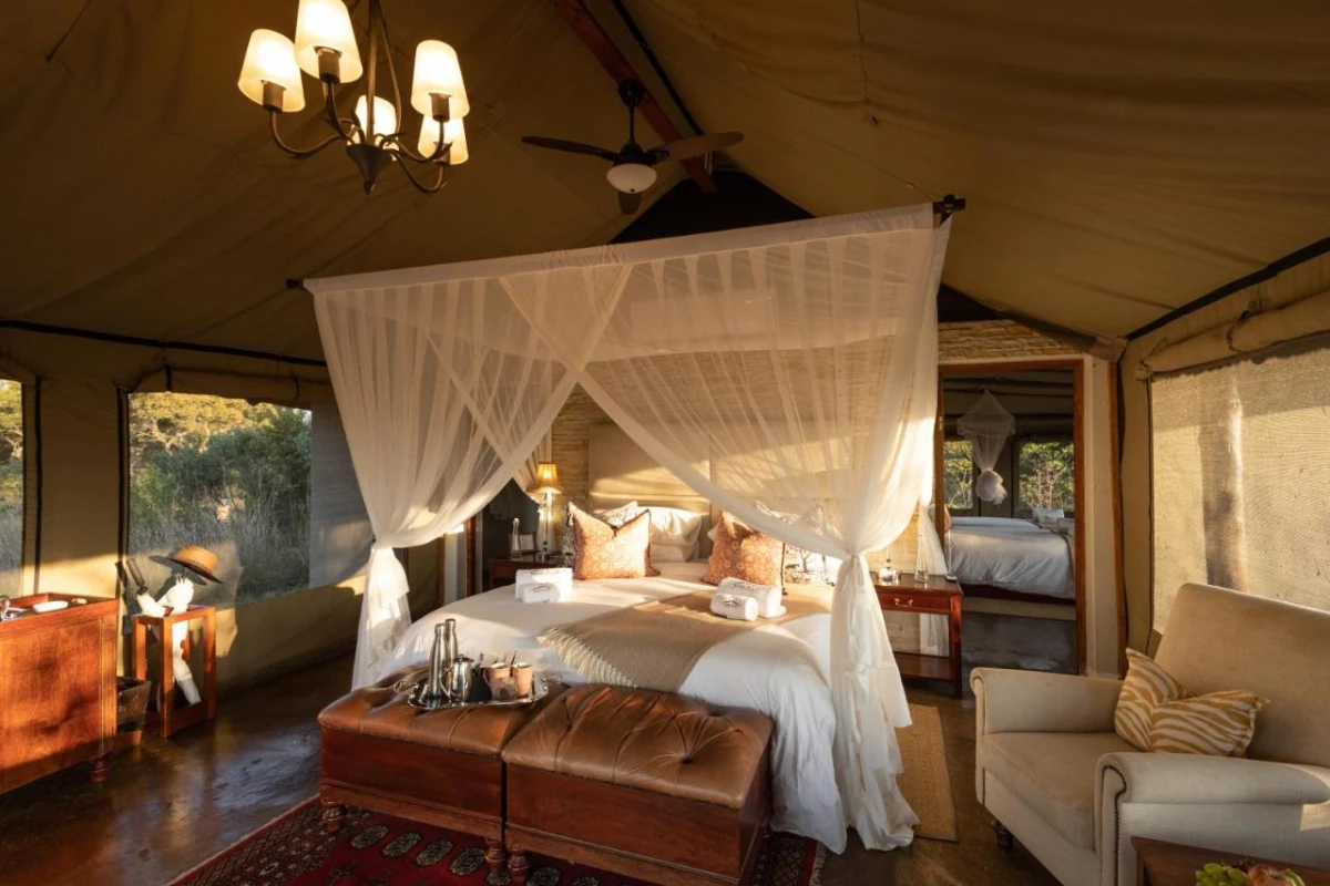 Safari Plains - Hotel Photo 25