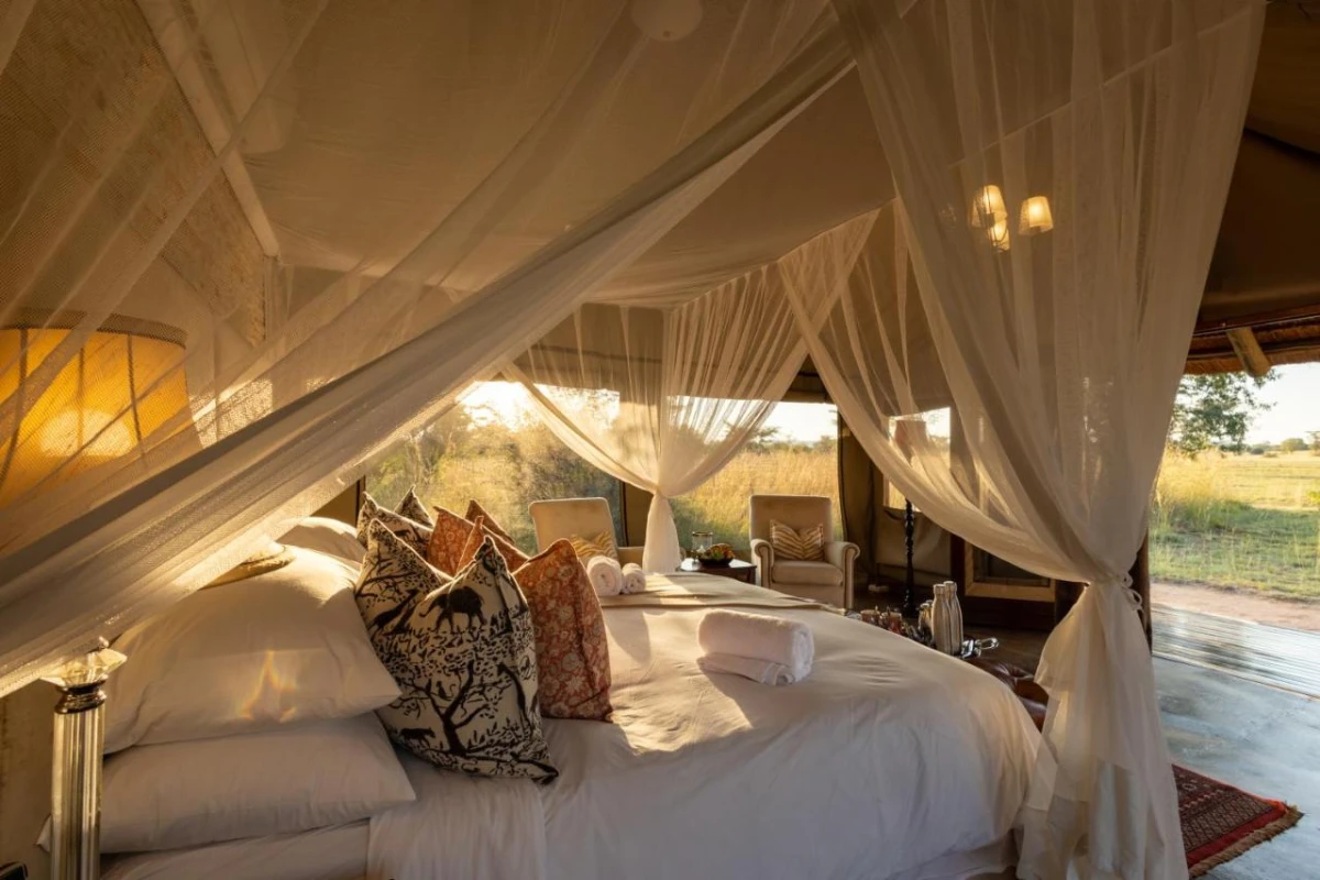 Safari Plains - Hotel Photo 29