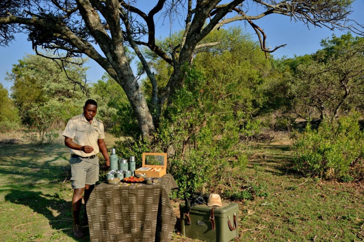 Safari Plains - Hotel Photo 34