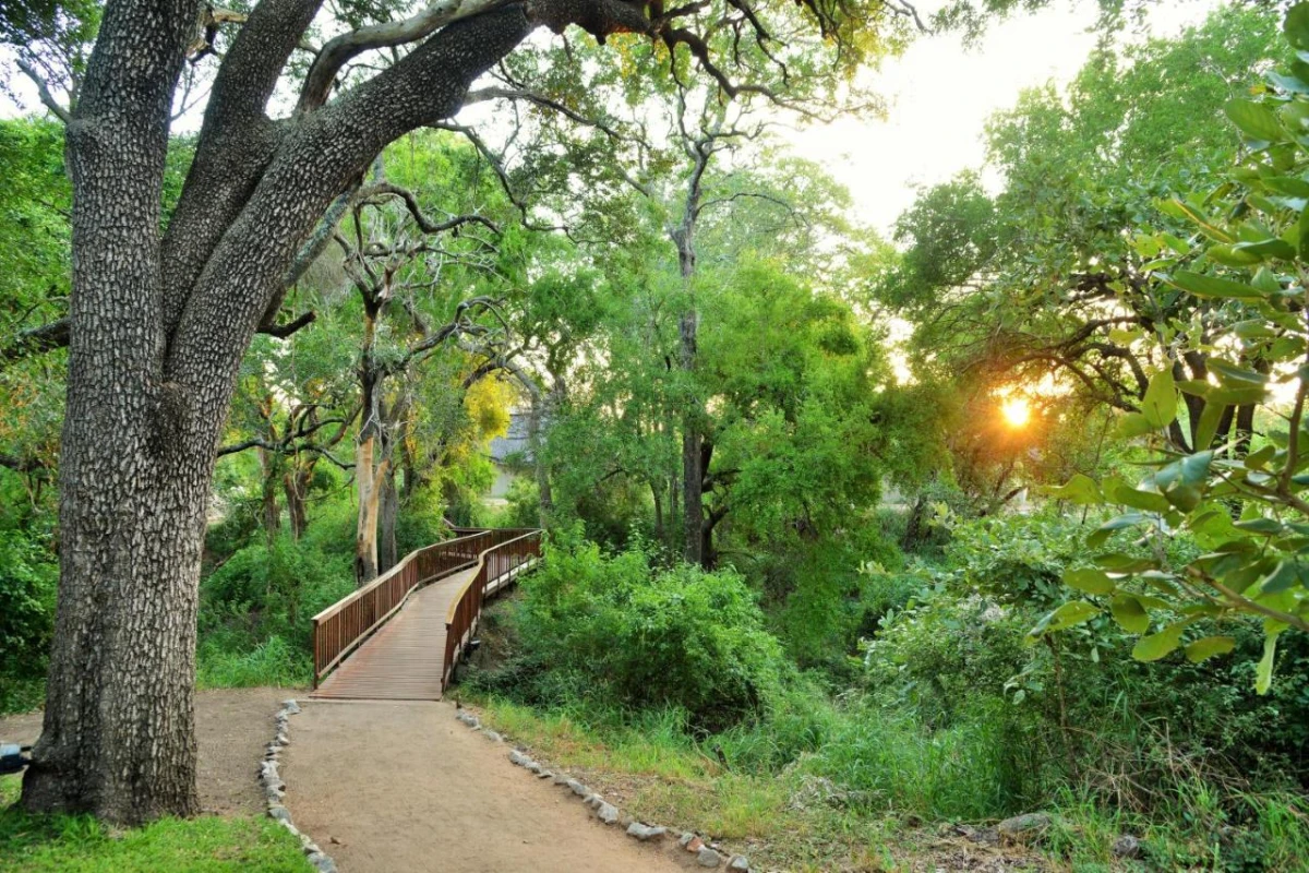 Imbali Safari Lodge - Hotel Photo 14