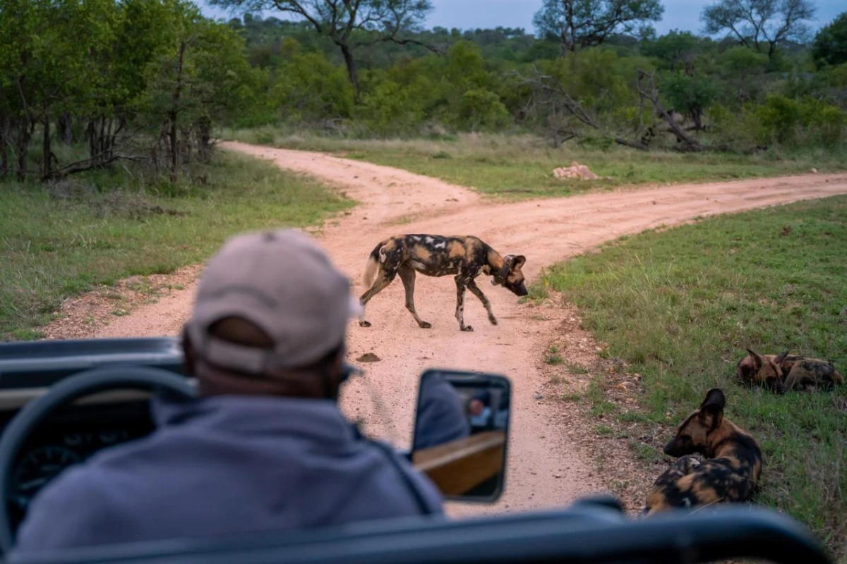 Thornybush Game Lodge - Hotel Photo 24