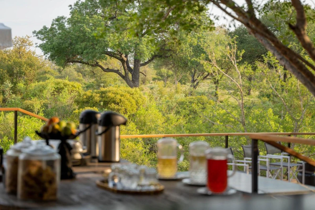 Thornybush Game Lodge - Hotel Photo 30