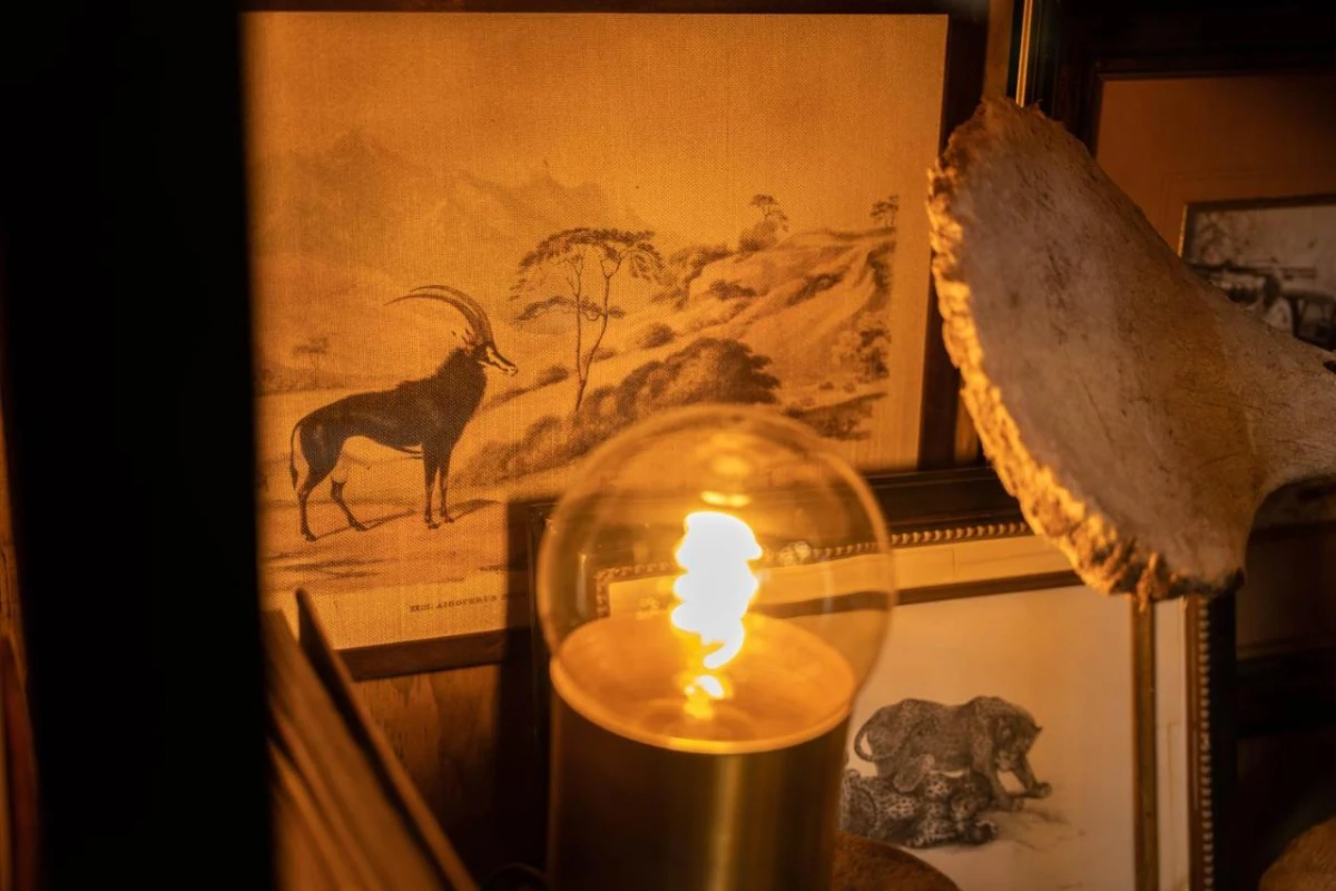 Thornybush Game Lodge - Hotel Photo 34