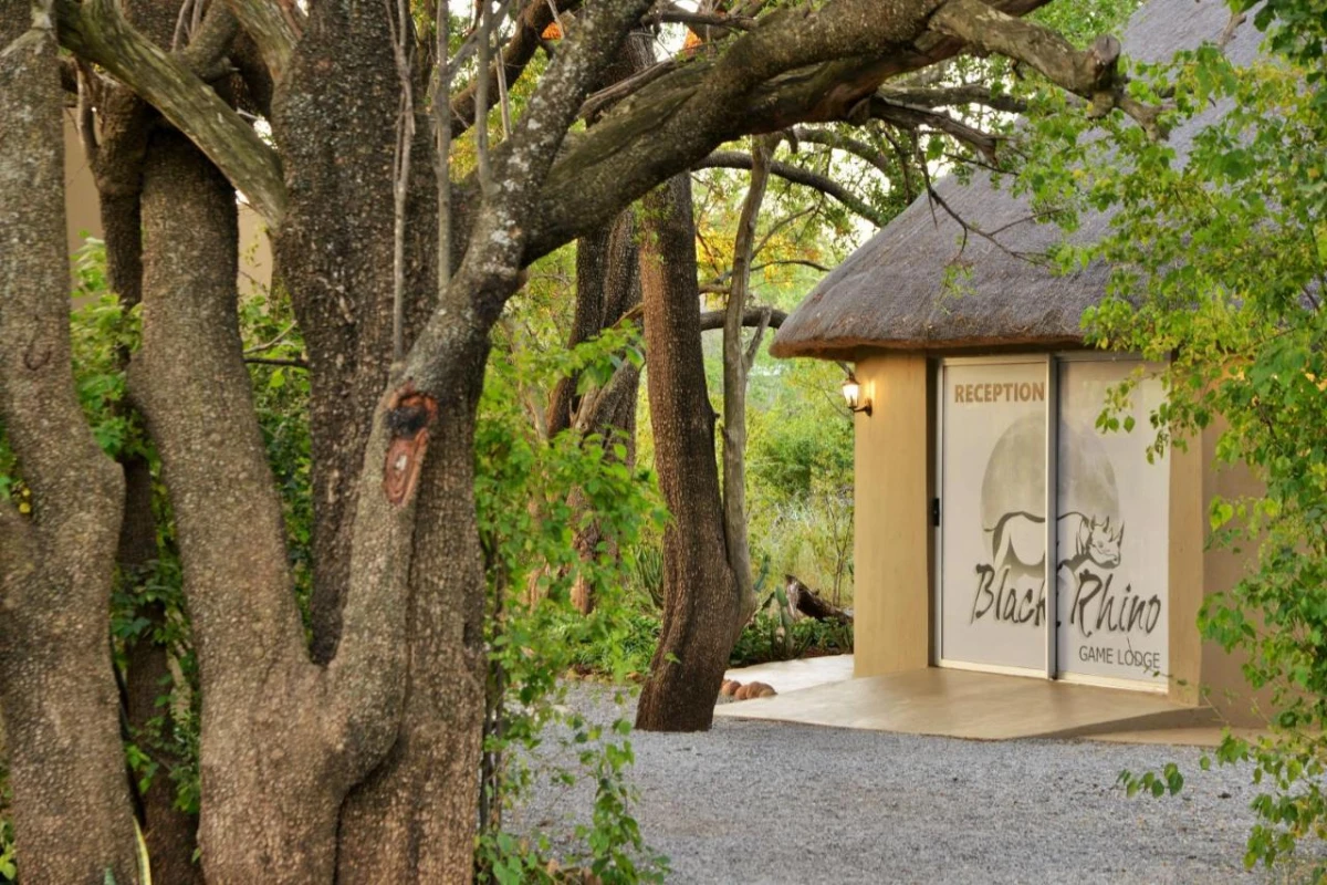 Black Rhino Game Lodge - Hotel Photo 6
