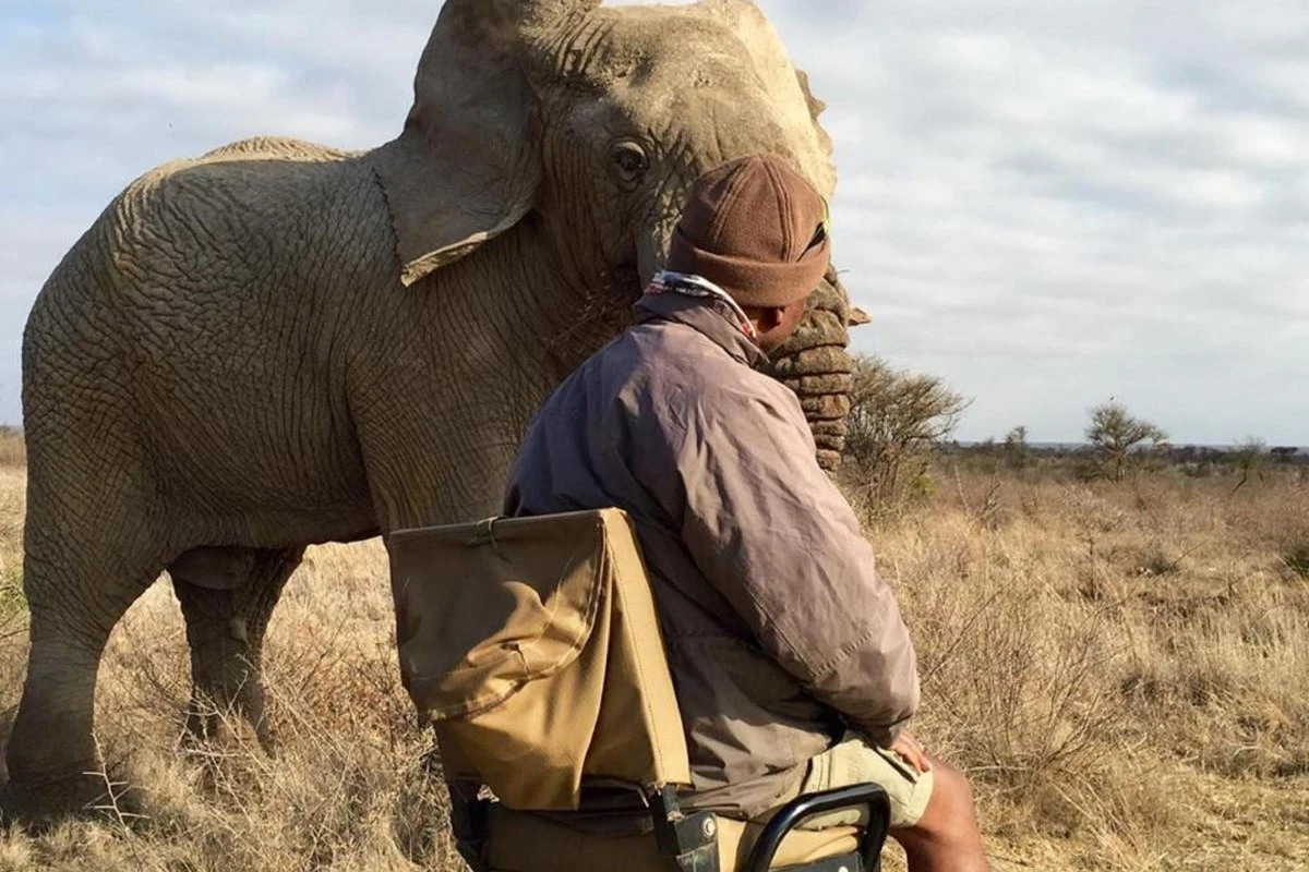 Madikwe Hills Private Game Lodge - Hotel Photo 6