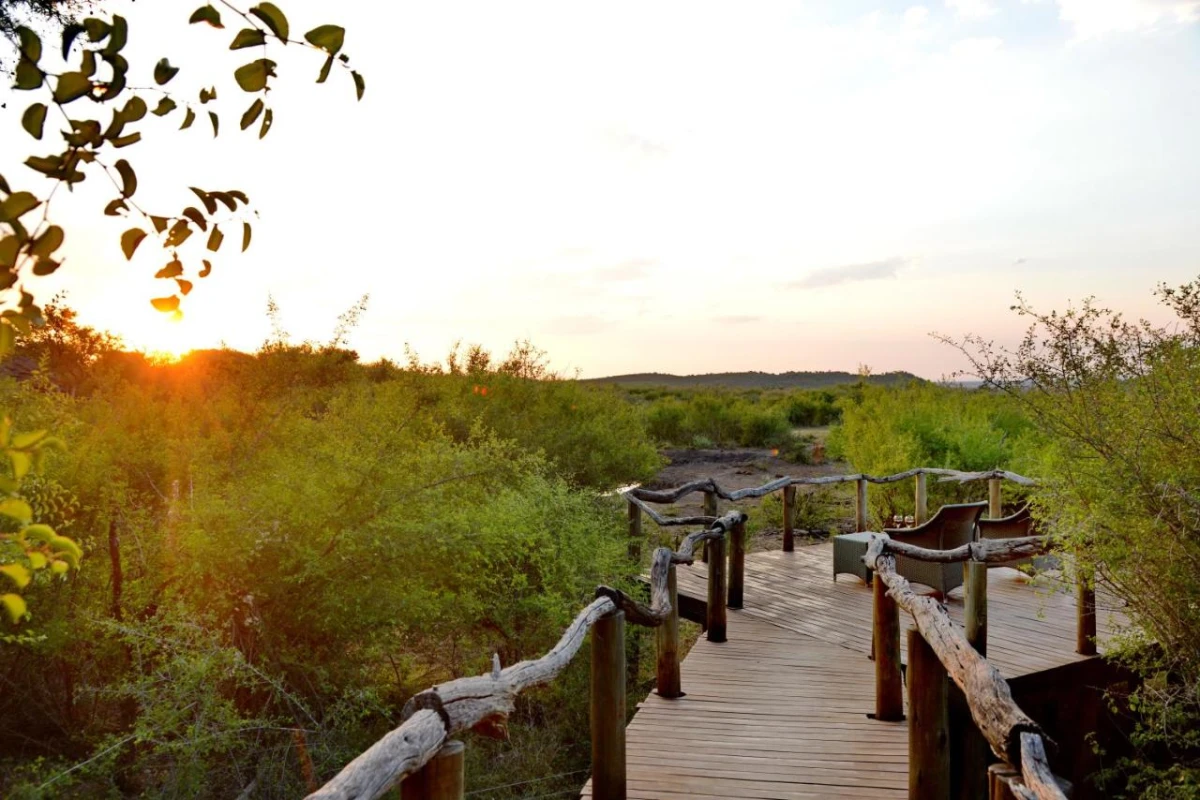 Motswiri Private Safari Lodge - Hotel Photo 21