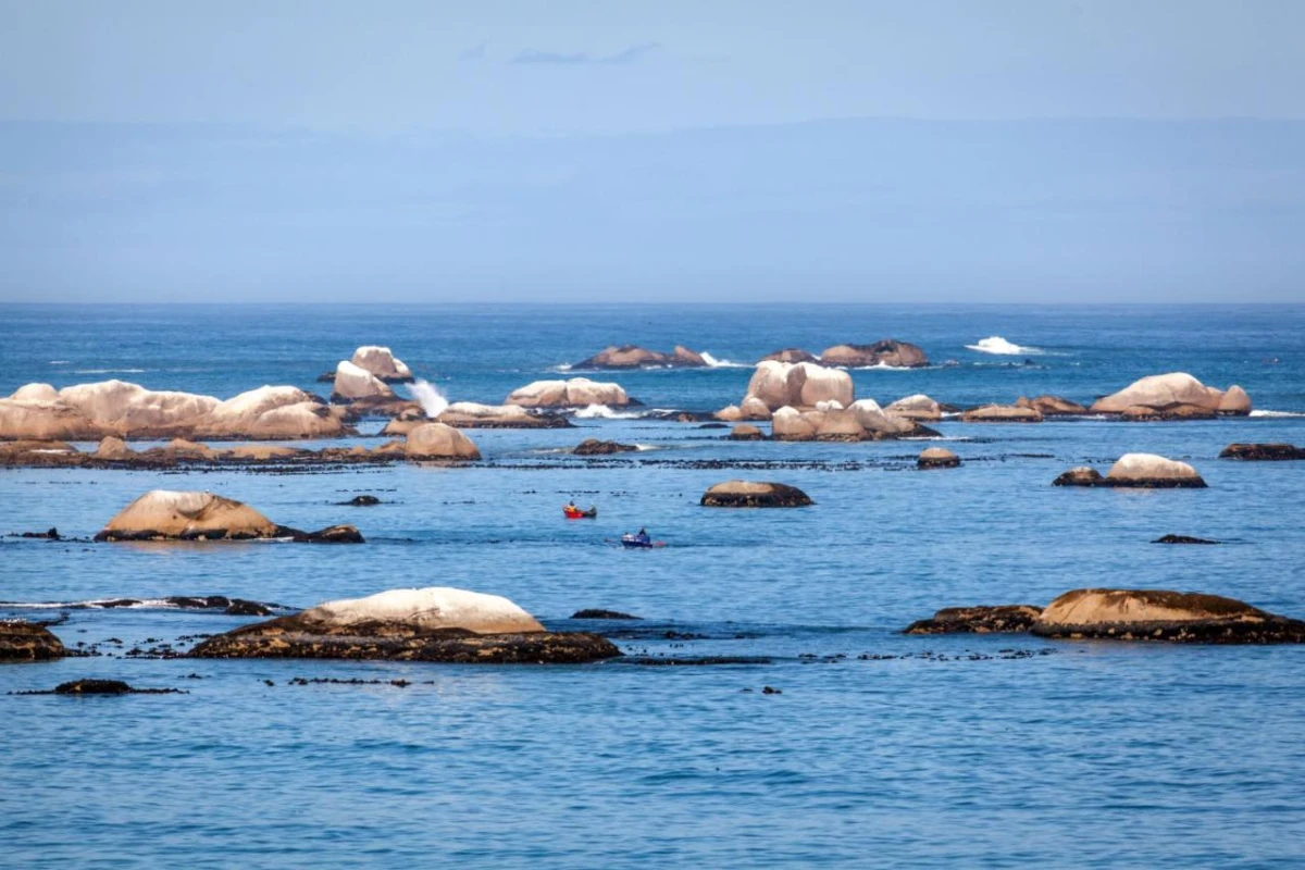 Abalone Hotel & Villas - Hotel Photo 5