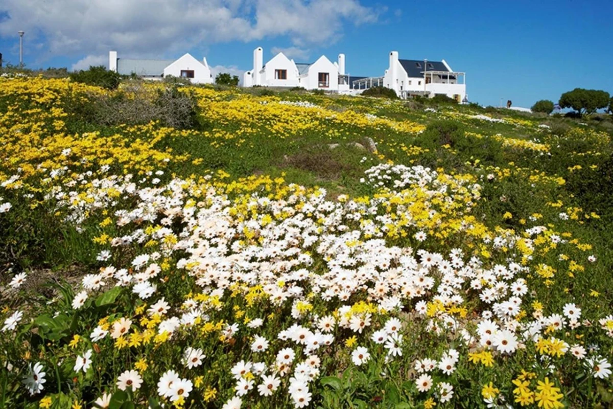 Abalone Hotel & Villas - Hotel Photo 21