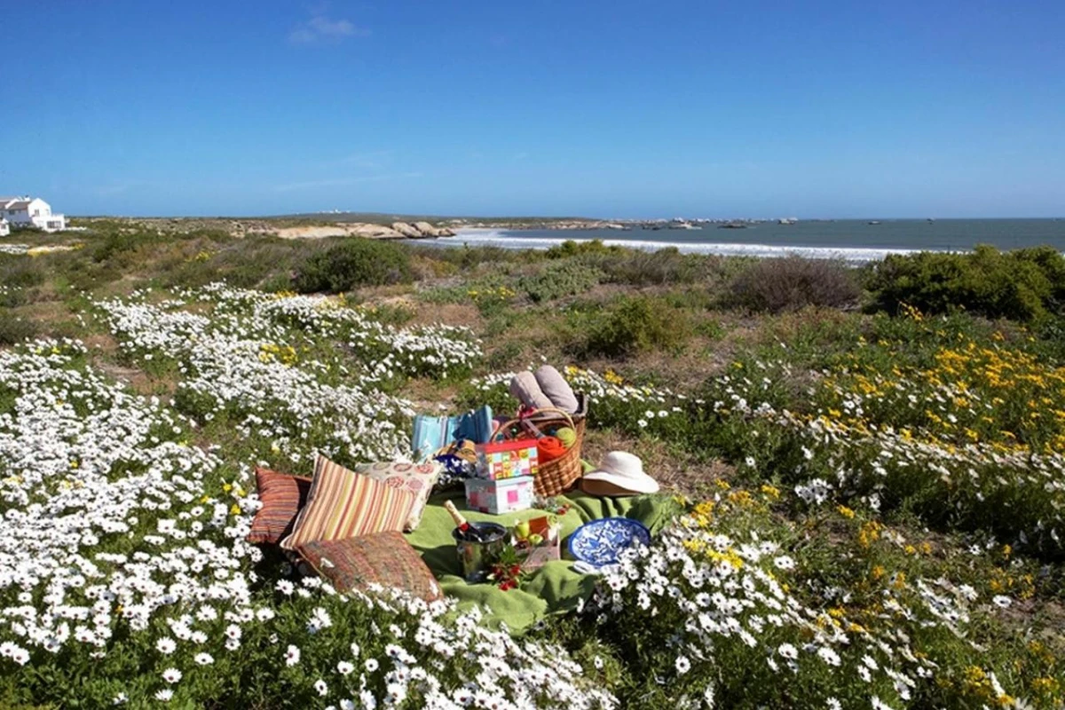 Abalone Hotel & Villas - Hotel Photo 30