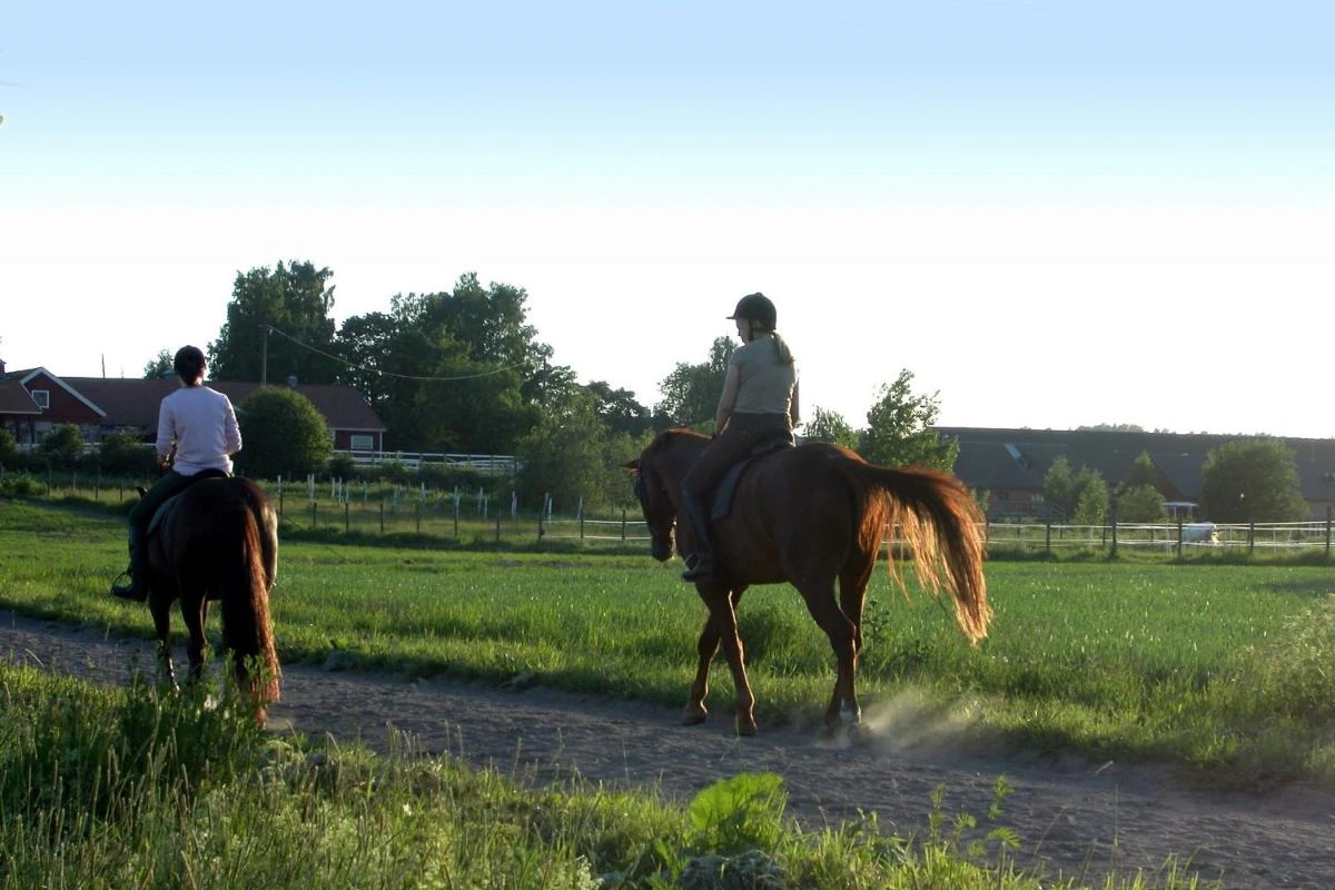 Franschhoek Country House & Villas - Hotel Photo 22