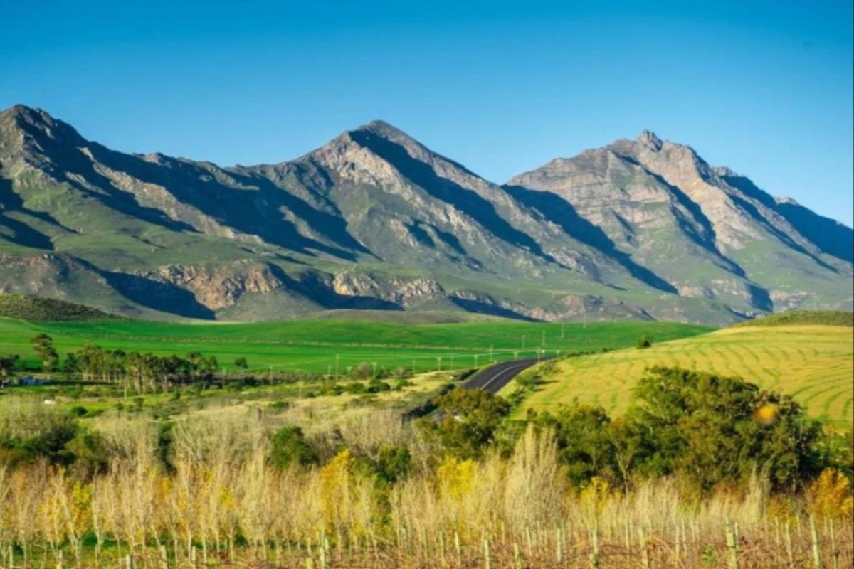 Jan Harmsgat Country House - Hotel Photo 5