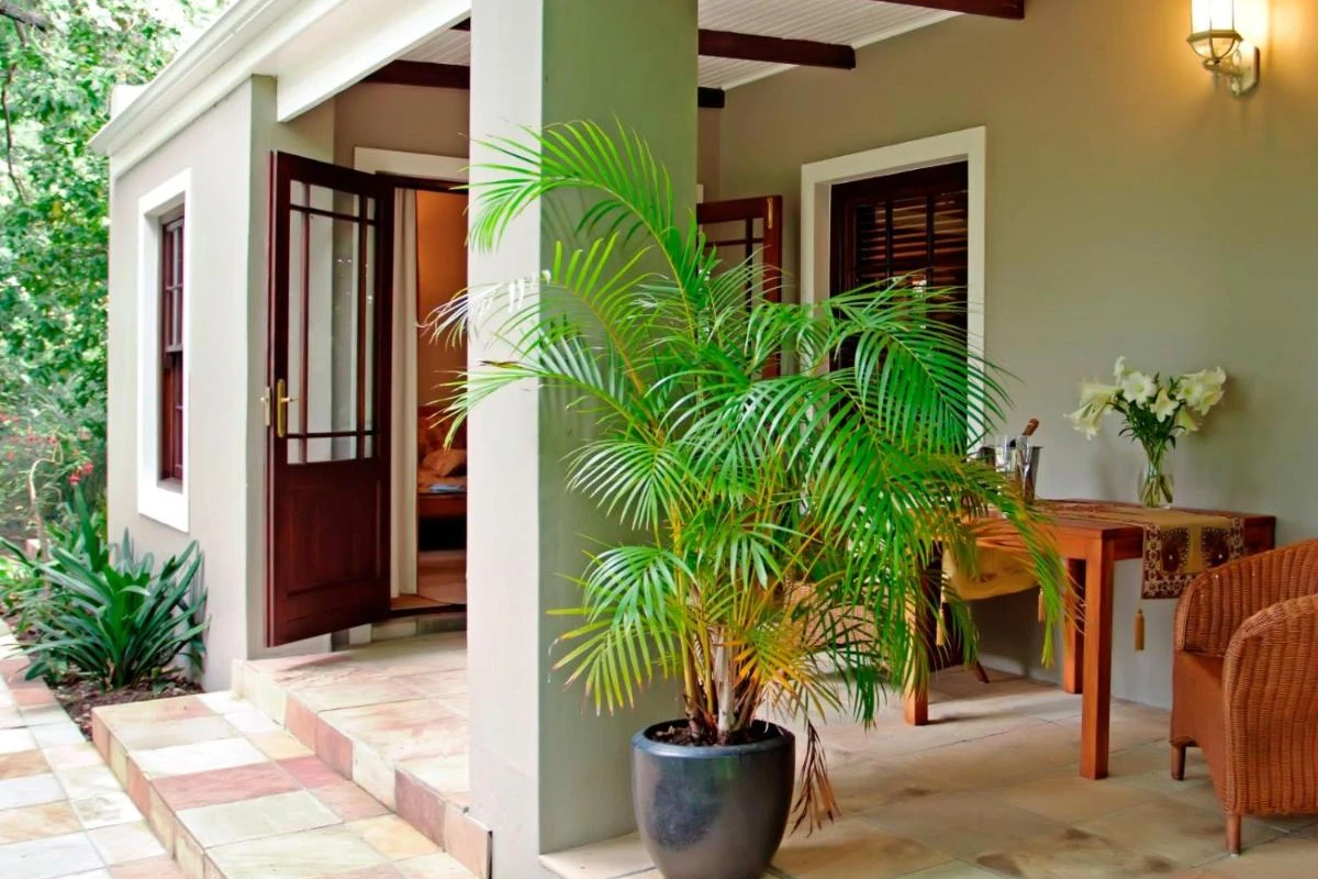 Schoone Oordt Country House - Hotel Photo 35