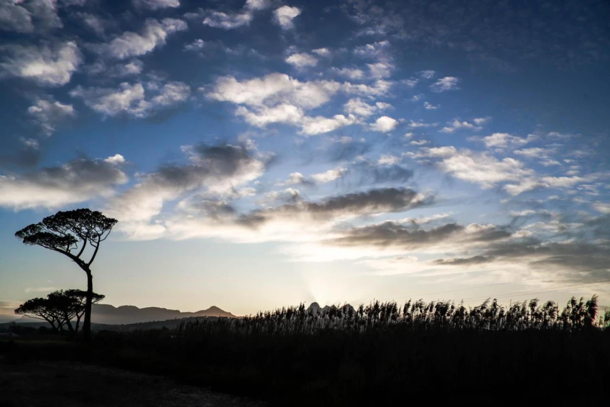 Vergenoegd Low Boutique Hotel & Spa - Hotel Photo 15