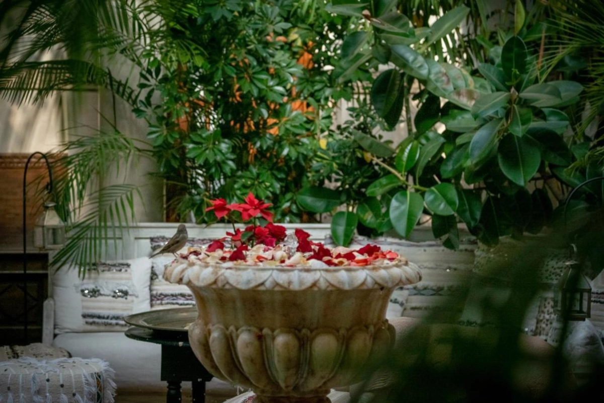 Demeures d'Orient Riad & Spa - Hotel Photo 8