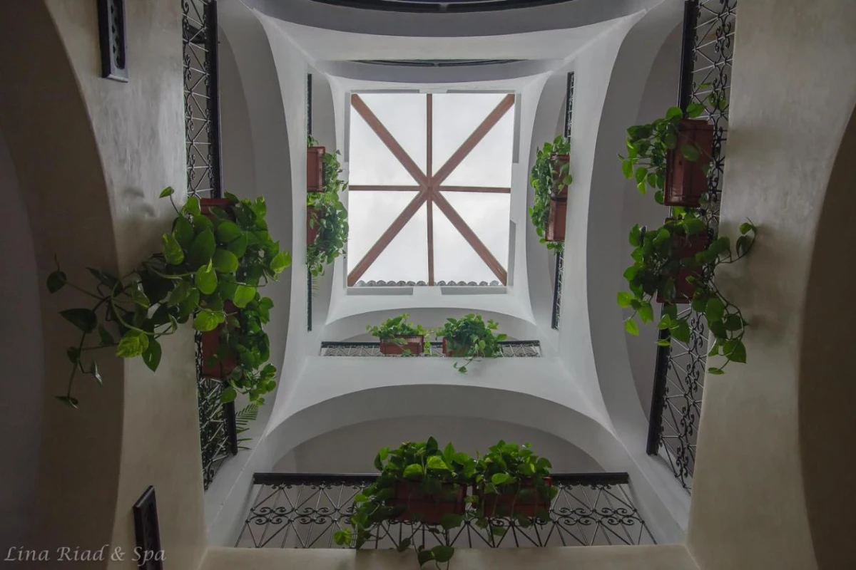 Lina Ryad & Spa - Hotel Photo 13