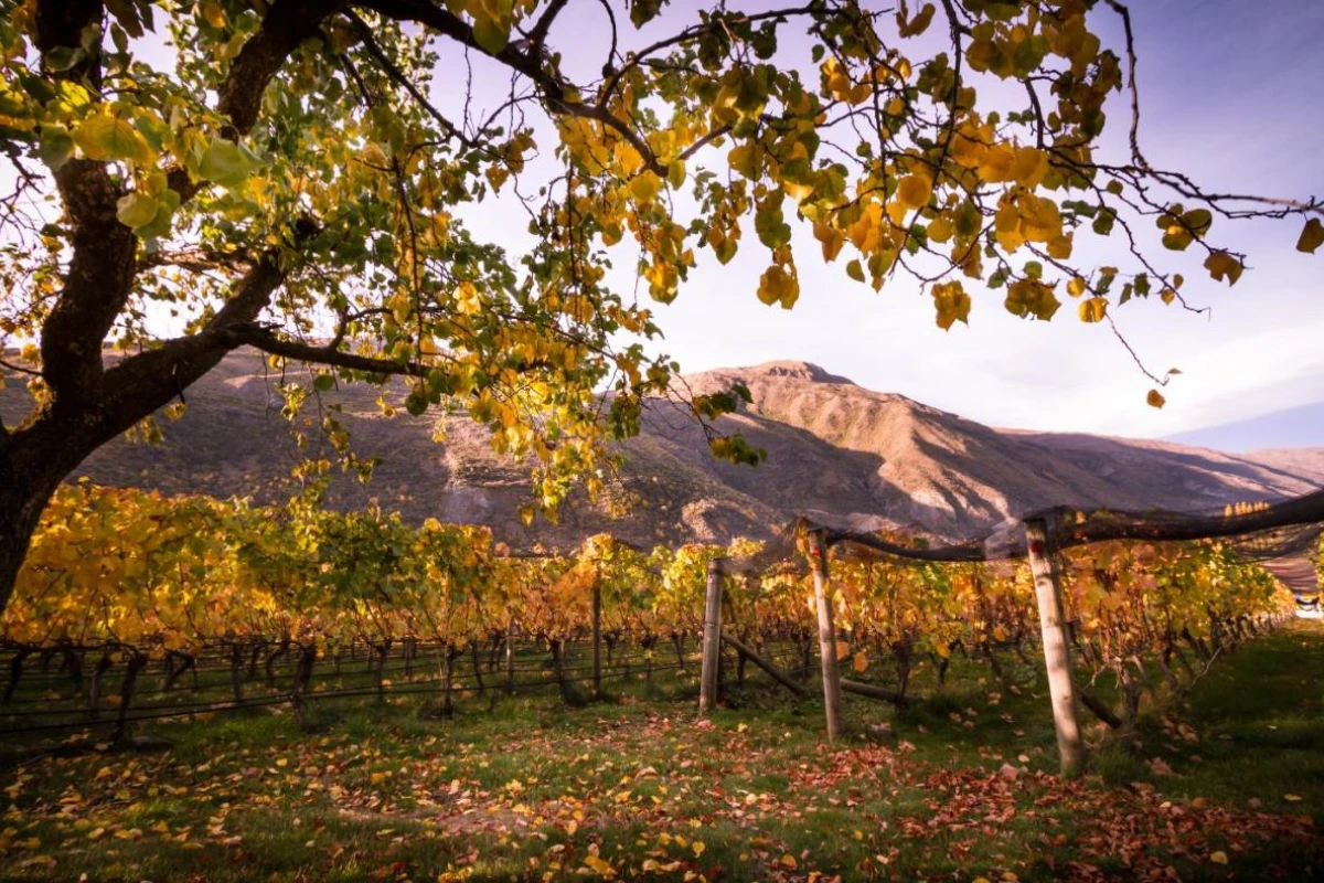 Gibbston Valley Lodge & Spa - Hotel Photo 39