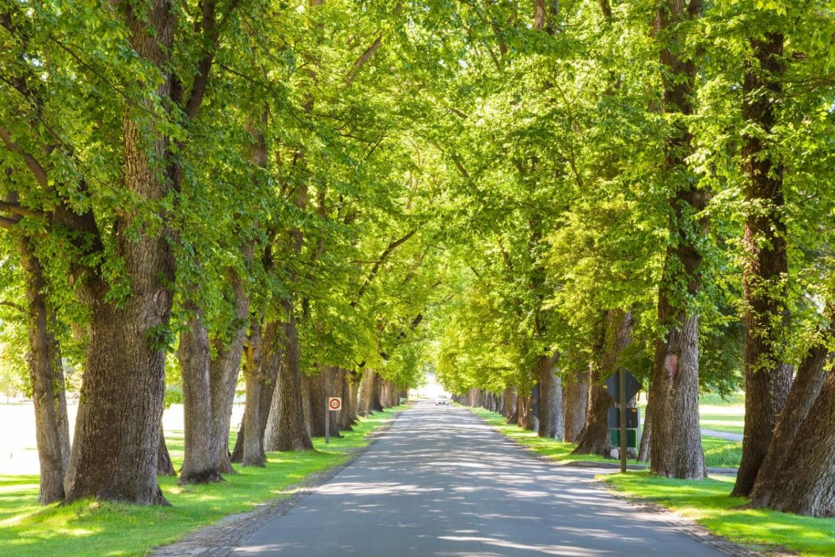 Millbrook Resort - Hotel Photo 21