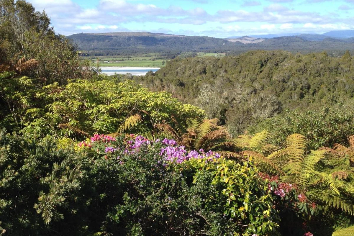 Rimu Lodge - Hotel Photo 8