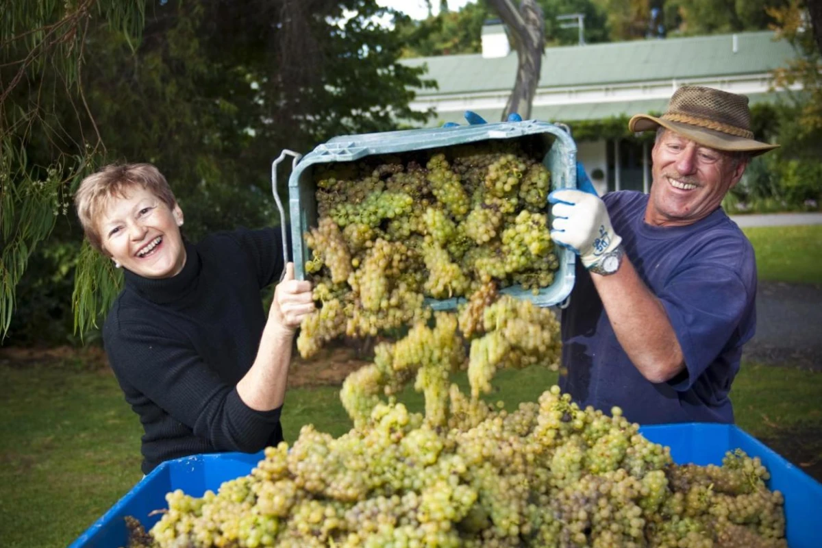 The Peppertree Luxury Accommodation - Hotel Photo 14