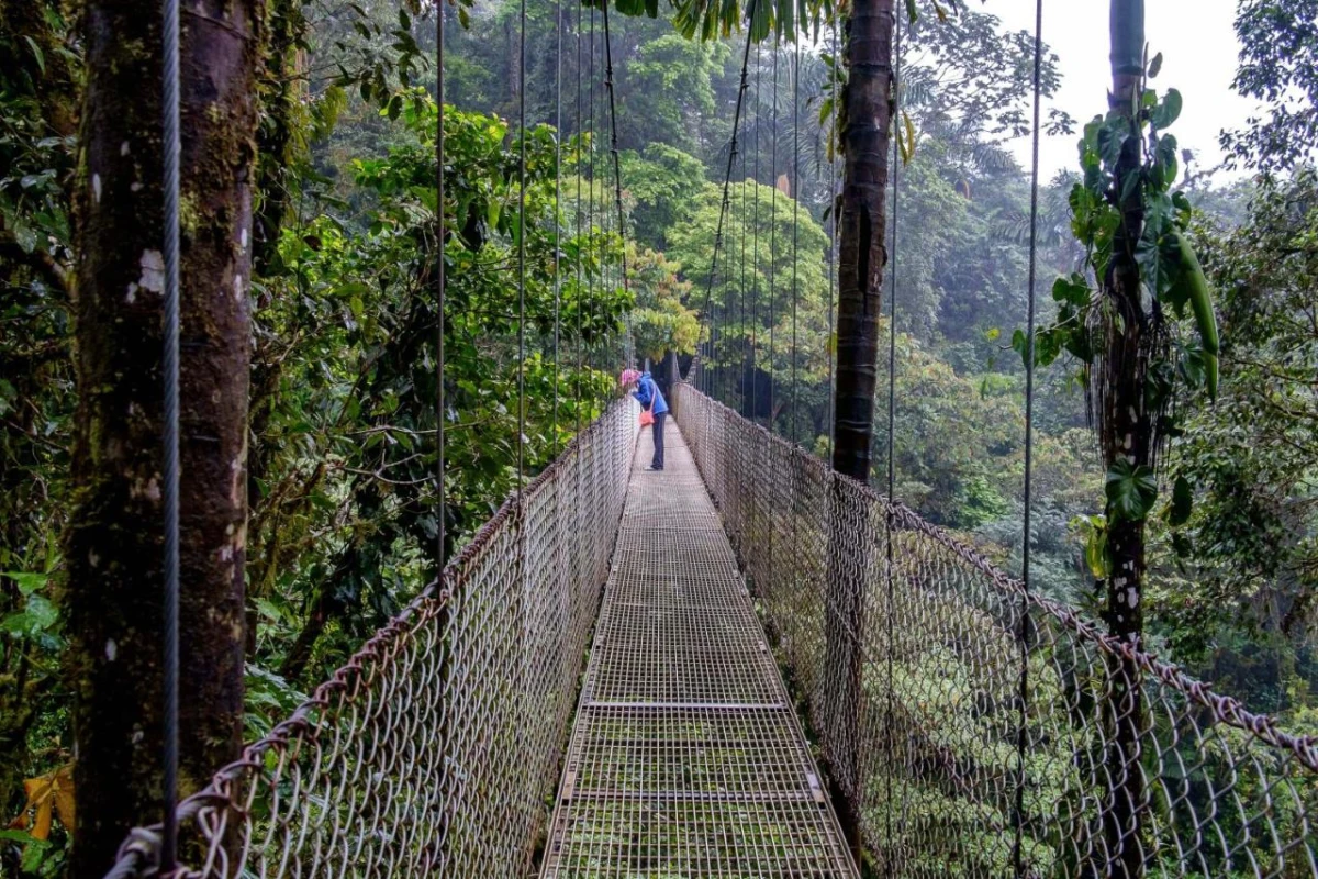 The Royal Corin Thermal Water & Spa Resort - Hotel Photo 14