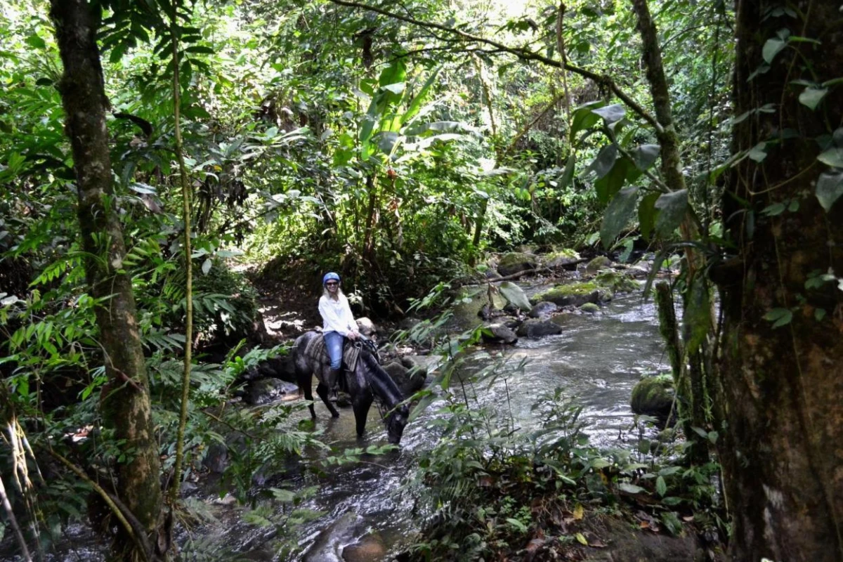 The Royal Corin Thermal Water & Spa Resort - Hotel Photo 15