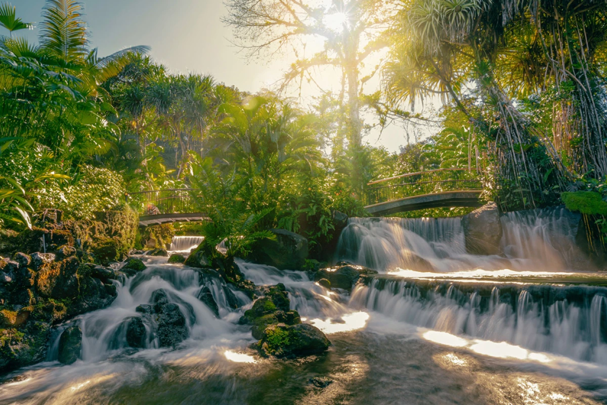 Tabacon Thermal Resort & Spa - Hotel Photo 20