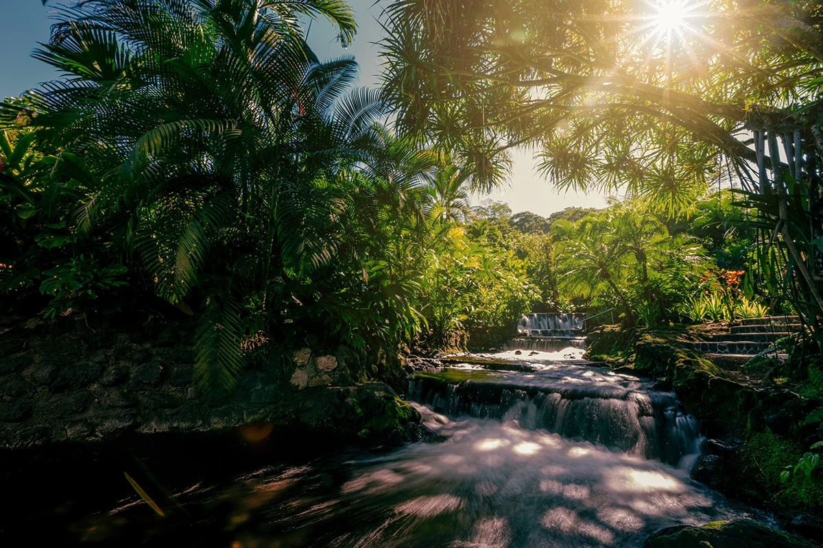 Tabacon Thermal Resort & Spa - Hotel Photo 26