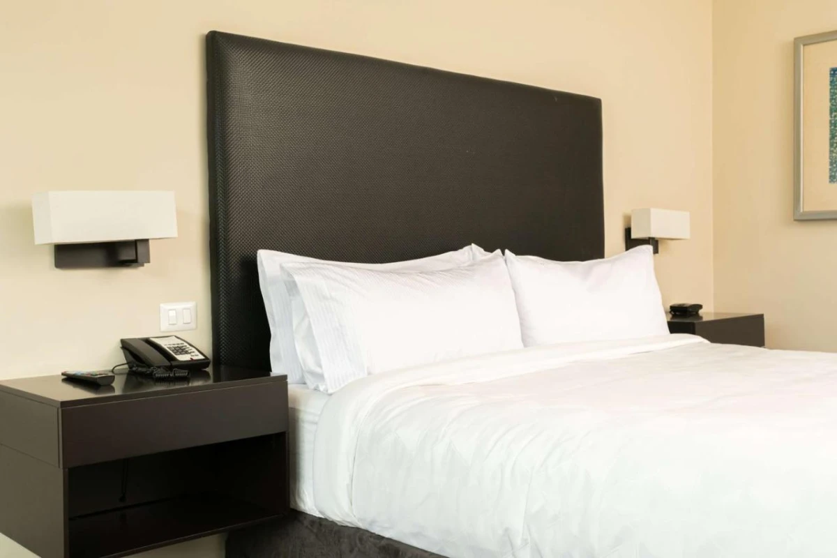 Hilton San Salvador - Hotel Photo 22