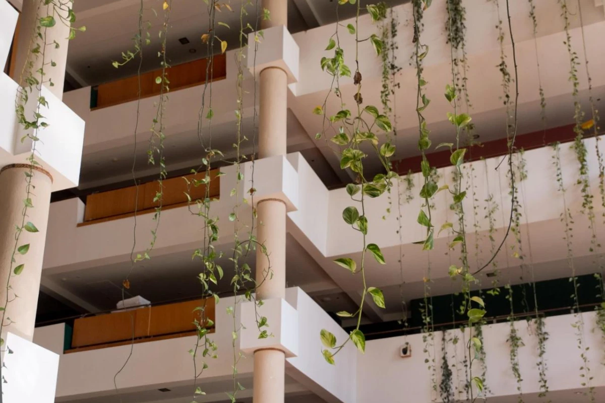 Amerian Portal del Iguazu - Hotel Photo 28