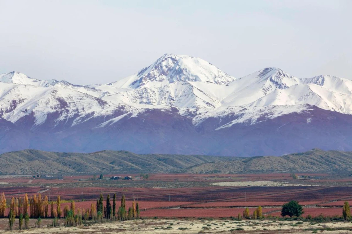 Auberge Du Vin a Tribute Portfolio Hotel - Hotel Photo 21